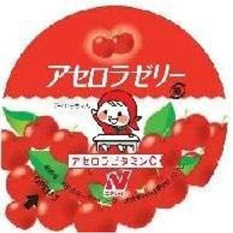 日本未発売 ニチレイフーズ 冷凍 アセロラ 即納最大半額 60ｇ×20個 ゼリー