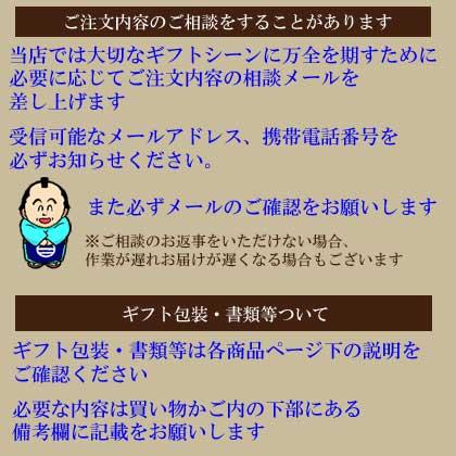 シチズン ソーラー時計 KM1-415-53 日・曜日付き デイデイト 男性用 腕時計 紳士用 レグノ 刻印対応有料 取り寄せ品｜mmtokeiten｜04