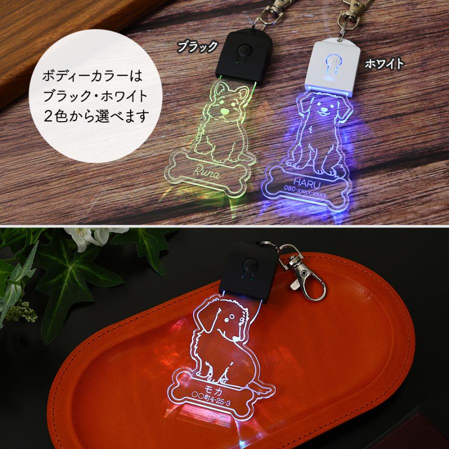 キーホルダー 迷子札 光る LED ペット 犬 リード 首輪 ペンダント