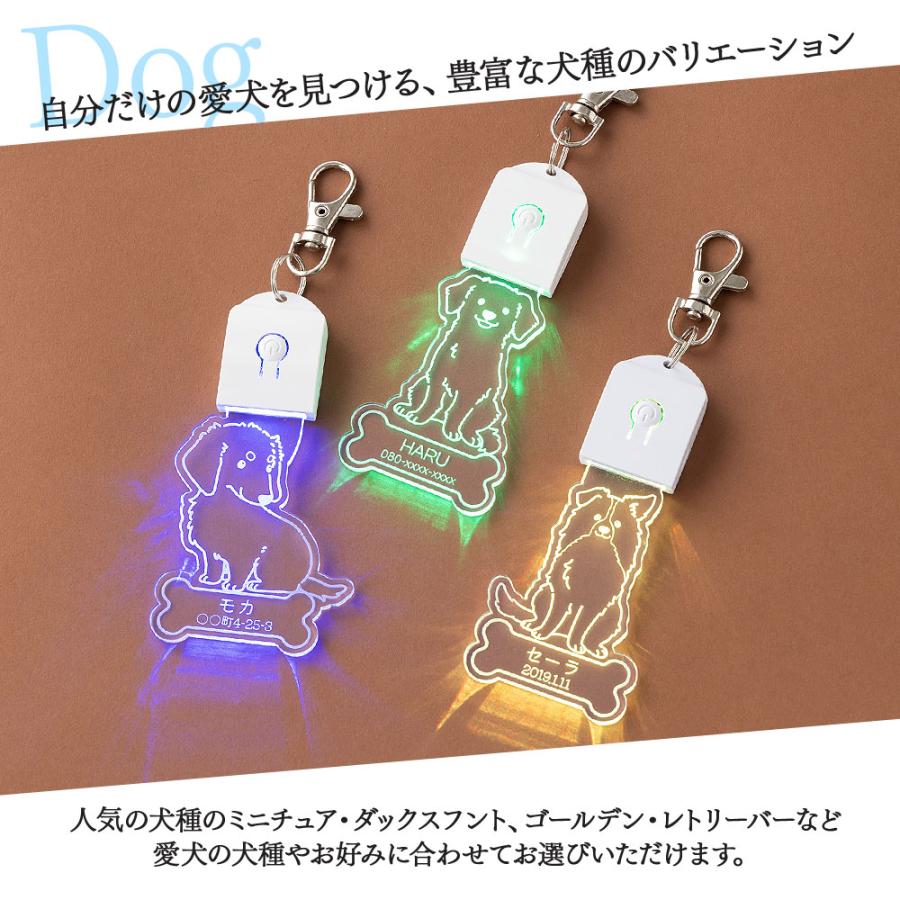 キーホルダー 迷子札 光る LED ペット 犬 リード 首輪 ペンダント