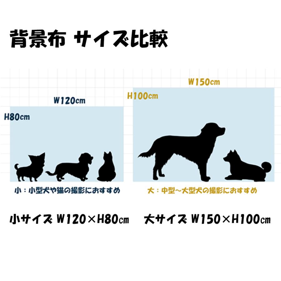 撮影用 背景布 犬 猫 かわいい バルーン 記念日 撮影背景布 背景