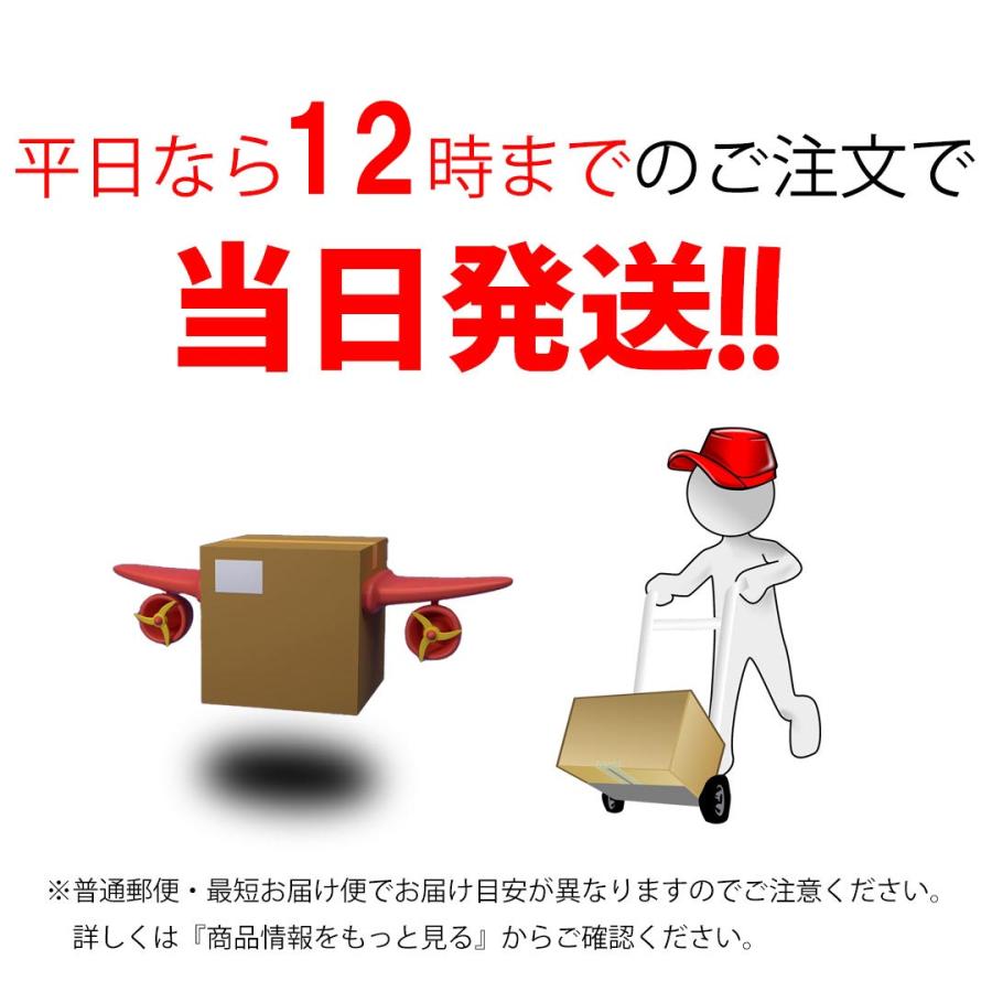 犬 服 おしゃれ 着せやすい ペット服 犬の服 安い店 春 夏 UnTouTou