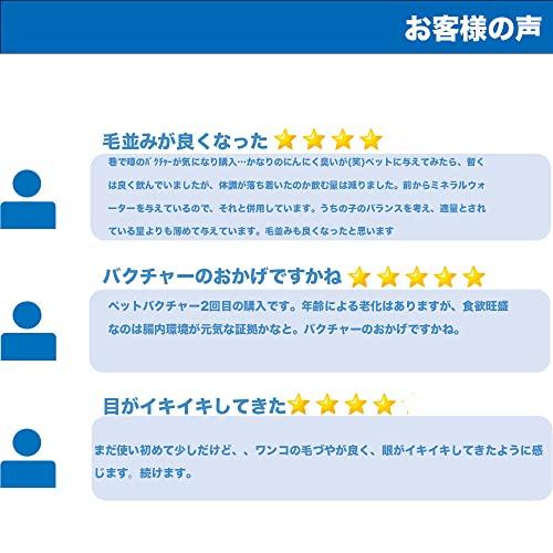 種類豊富な品揃え バクチャーペット Www Gtasavegames Com