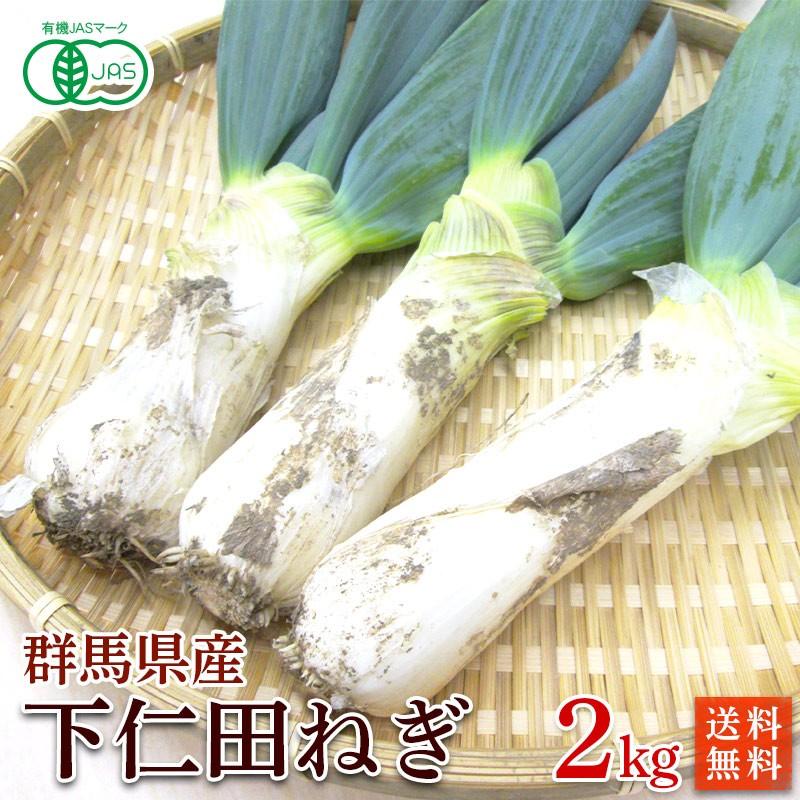 有機栽培・群馬県産　斉藤さんの下仁田ねぎ２ｋｇ（１０〜１８本入）【送料無料】有機JAS・Organic・オーガニック | オーガニック