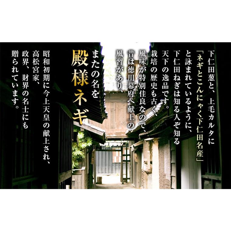 有機栽培・群馬県産　斉藤さんの下仁田ねぎ２ｋｇ（１０〜１８本入）【送料無料】有機JAS・Organic・オーガニック | オーガニック | 01