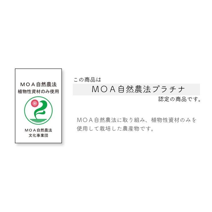 有機栽培・群馬県産　斉藤さんの下仁田ねぎ２ｋｇ（１０〜１８本入）【送料無料】有機JAS・Organic・オーガニック | オーガニック | 10