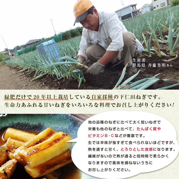 有機栽培・群馬県産　斉藤さんの下仁田ねぎ２ｋｇ（１０〜１８本入）【送料無料】有機JAS・Organic・オーガニック | オーガニック | 04