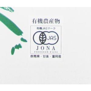 有機栽培・群馬県産　斉藤さんの下仁田ねぎ２ｋｇ（１０〜１８本入）【送料無料】有機JAS・Organic・オーガニック | オーガニック | 08