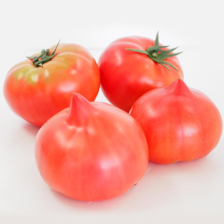 産地直送　新鮮トマト（ファーストトマト）２ｋｇ【送料無料、無化学肥料・農薬7割減の特別栽培　栃木県産】 |  | 11