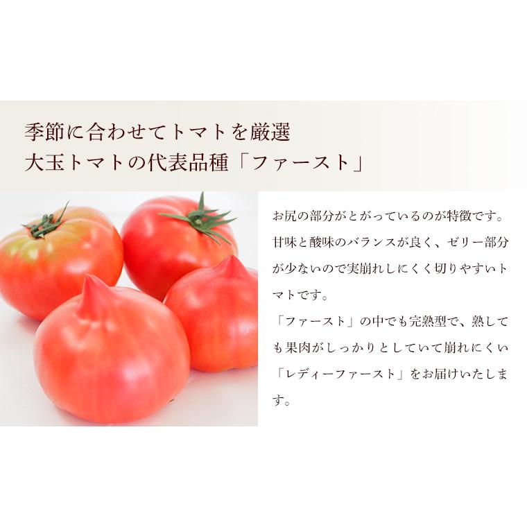 産地直送　新鮮トマト（ファーストトマト）２ｋｇ【送料無料、無化学肥料・農薬7割減の特別栽培　栃木県産】 |  | 02