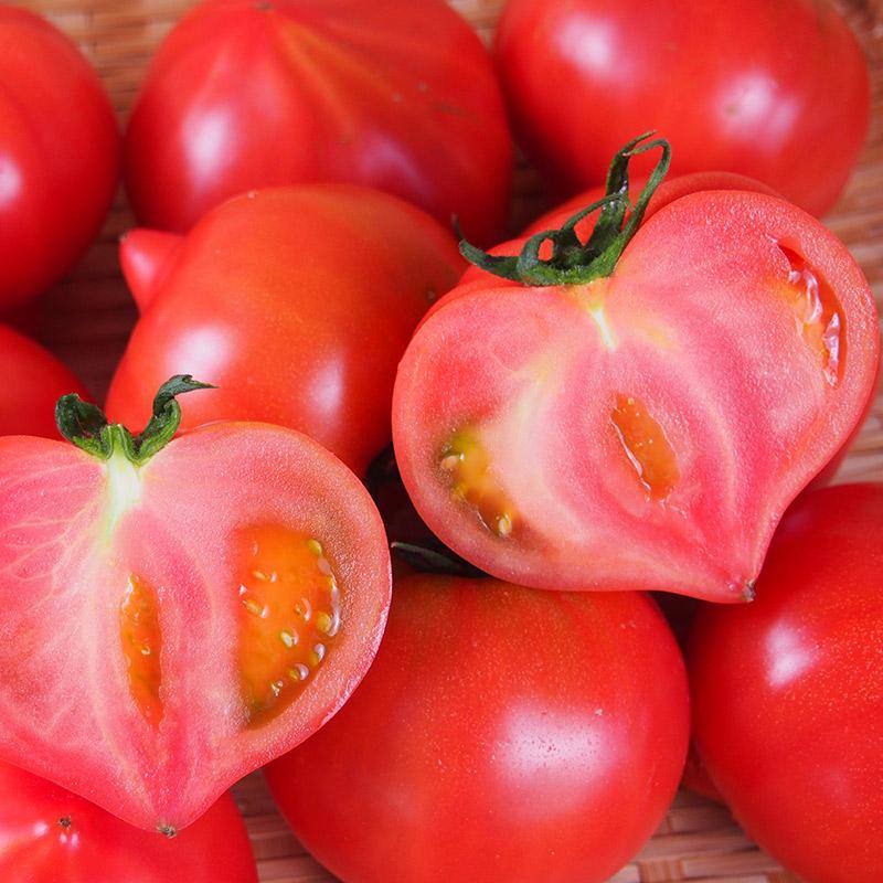 産地直送　新鮮トマト（ファーストトマト）２ｋｇ【送料無料、無化学肥料・農薬7割減の特別栽培　栃木県産】 |  | 08