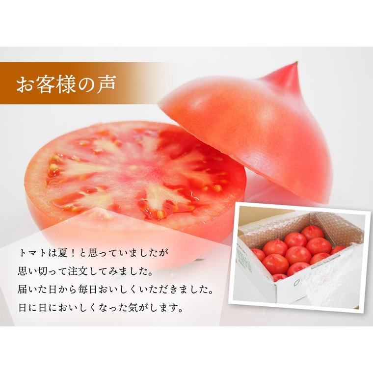 産地直送　新鮮トマト（ファーストトマト）４ｋｇ【送料無料】無化学肥料・農薬7割減の特別栽培　栃木県産 |  | 06