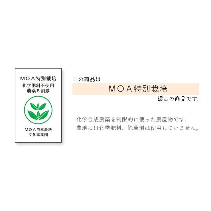 産地直送　新鮮トマト（ファーストトマト）４ｋｇ【送料無料】無化学肥料・農薬7割減の特別栽培　栃木県産 |  | 12