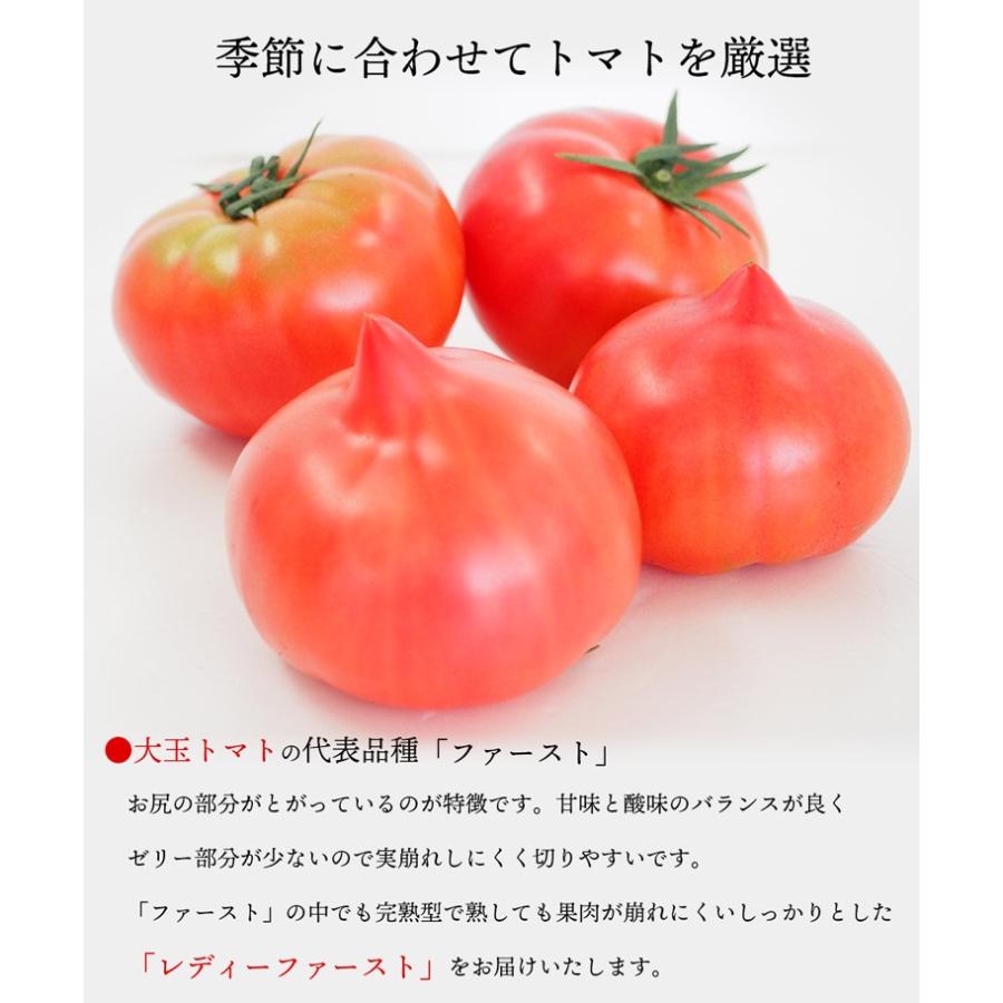 産地直送 新鮮トマト レディファースト たっぷり４ｋｇ 無化学肥料 送料無料 野原農園 農薬7割減の特別栽培 期間限定送料無料