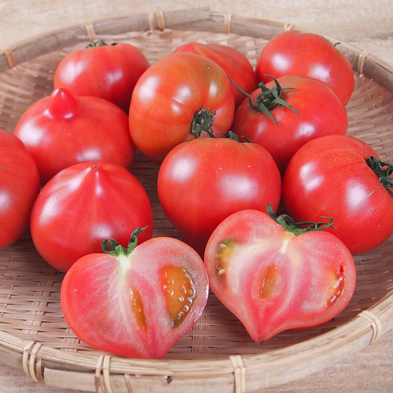 産地直送　新鮮トマト（ファーストトマト）４ｋｇ【送料無料】無化学肥料・農薬7割減の特別栽培　栃木県産 |  | 07