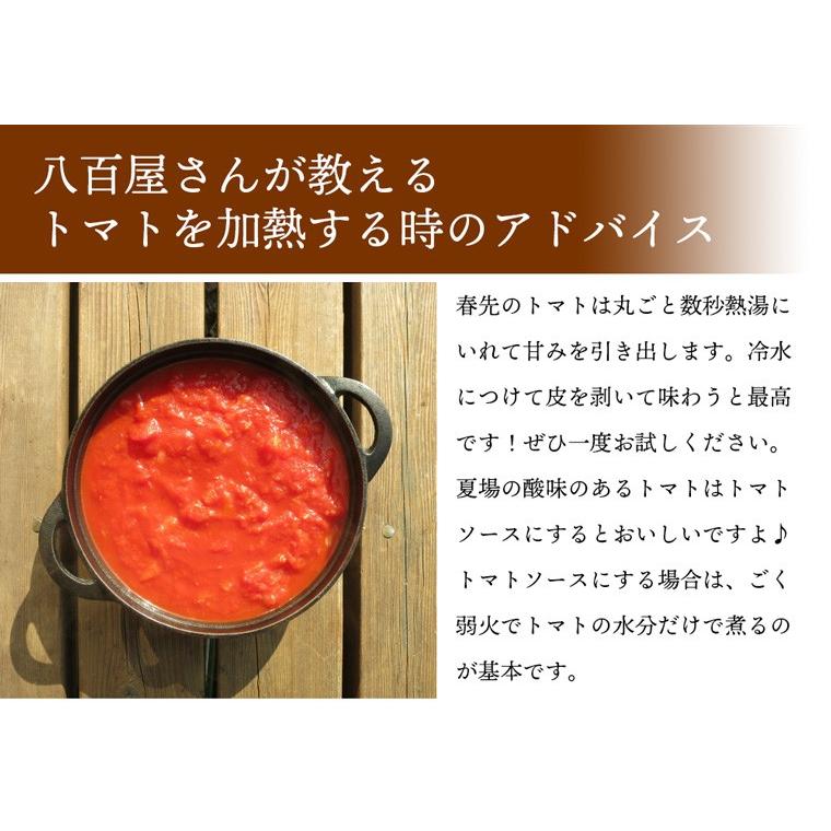 産地直送　新鮮トマト（ファーストトマト）４ｋｇ【送料無料】無化学肥料・農薬7割減の特別栽培　栃木県産 |  | 05
