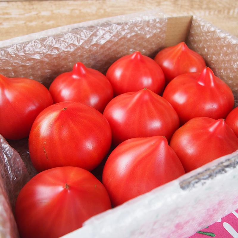 産地直送　新鮮トマト（ファーストトマト）４ｋｇ【送料無料】無化学肥料・農薬7割減の特別栽培　栃木県産 |  | 09