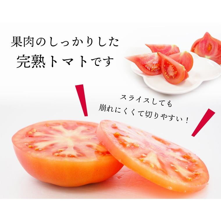 栃木県産トマト（レディファースト）６ｋｇ【送料無料、無化学肥料・農薬7割減の特別栽培】 |  | 01