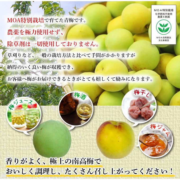 贅沢品 完全無農薬 化学肥料 除草剤不使用 中熟梅 2キロ 農家直送 ご