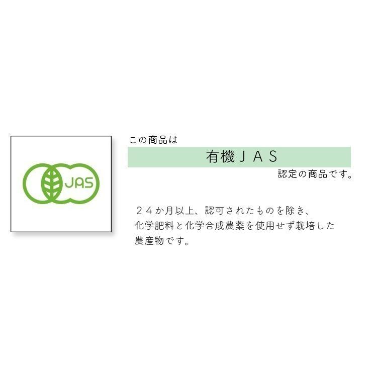 有機じゃがいも・長崎県産オーガニック新じゃがいも１０ｋｇ 長崎黄金【送料無料】有機JAS認証 | オーガニック | 07