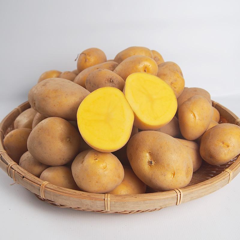 有機じゃがいも・長崎県産オーガニック新じゃがいも１０ｋｇ 長崎黄金【送料無料】有機JAS認証 | オーガニック | 04
