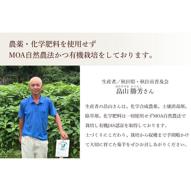 新物【2025年産】有機菊芋１ｋｇ（きくいも）洗い・オーガニック・有機ＪＡＳ・農薬・化学肥料不使用【送料無料・数量限定品・秋田県産】 | オーガニック | 03