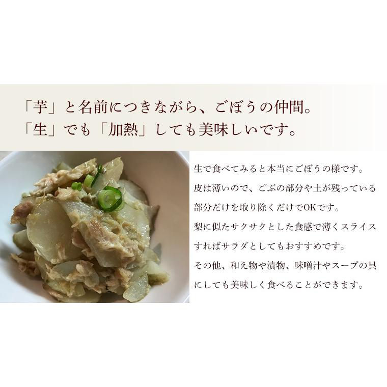 新物【2025年産】有機菊芋１ｋｇ（きくいも）洗い・オーガニック・有機ＪＡＳ・農薬・化学肥料不使用【送料無料・数量限定品・秋田県産】 | オーガニック | 04