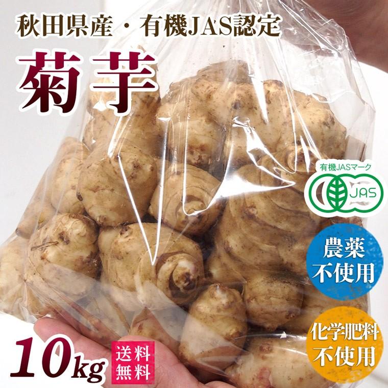 新物【2025年産】有機菊芋１０ｋｇ（きくいも）洗い・オーガニック・有機ＪＡＳ・農薬・化学肥料不使用【送料無料・数量限定品・秋田県産】 | オーガニック