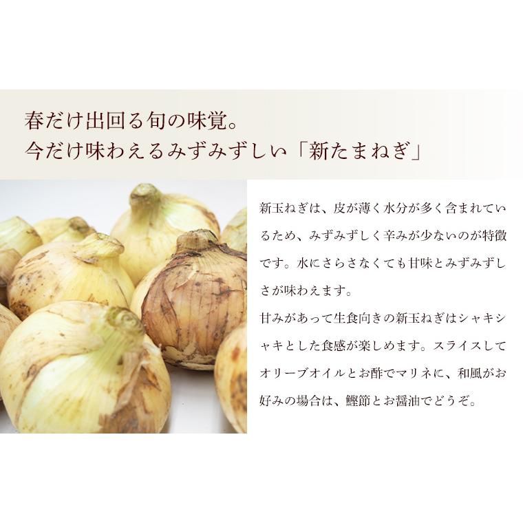 有機玉ねぎ５ｋｇ・埼玉県産新たまねぎ・有機栽培（有機ＪＡＳ）Ｍサイズ以上【送料無料】オーガニック・有機JAS認証 | オーガニック | 01