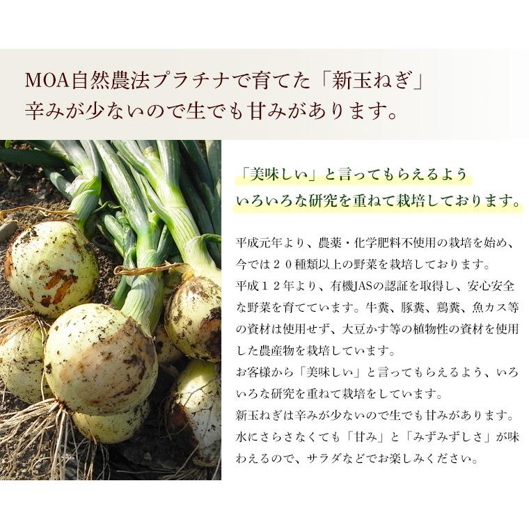 有機玉ねぎ５ｋｇ・埼玉県産新たまねぎ・有機栽培（有機ＪＡＳ）Ｍサイズ以上【送料無料】オーガニック・有機JAS認証 | オーガニック | 03