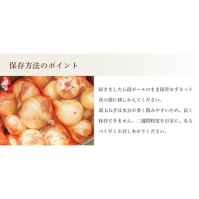 有機玉ねぎ５ｋｇ・埼玉県産新たまねぎ・有機栽培（有機ＪＡＳ）Ｍサイズ以上【送料無料】オーガニック・有機JAS認証 | オーガニック | 04