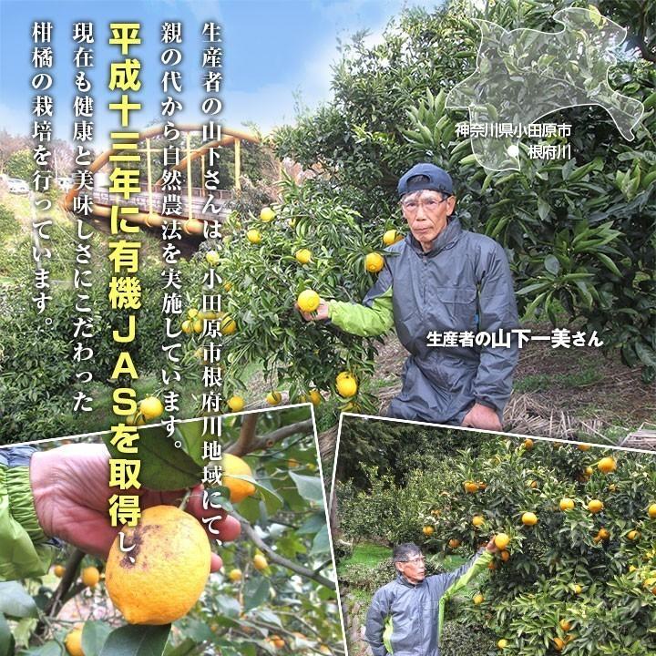 有機みかん１０ｋｇ　神奈川県産　温州みかん　家庭用　送料無料 | オーガニック | 01