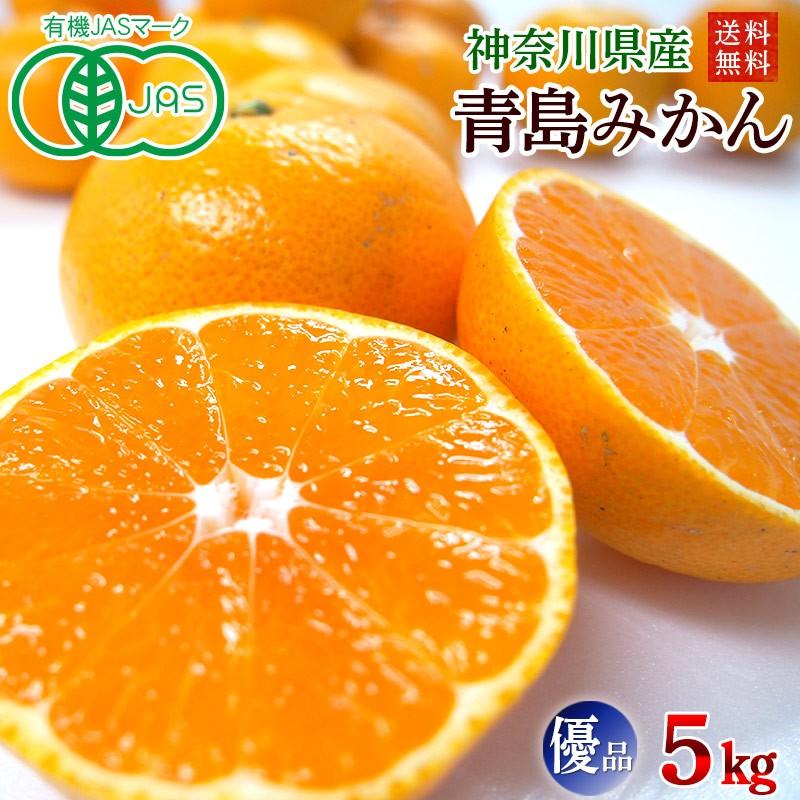有機みかん・青島みかん５ｋｇ神奈川県産【オーガニック・優品・家庭用・送料無料・数量限定品】 | オーガニック