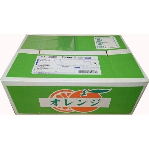 有機みかん・青島みかん５ｋｇ神奈川県産【オーガニック・優品・家庭用・送料無料・数量限定品】 | オーガニック | 02