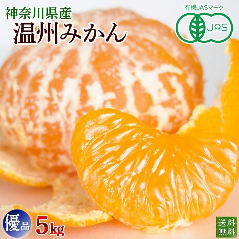 有機みかん　神奈川県産　温州みかん５ｋｇ　優品　家庭用　送料無料　数量限定品　ネオニコフリー | オーガニック