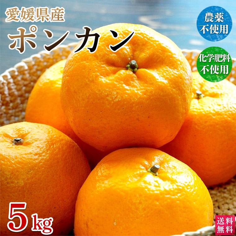 愛媛県産ポンカン５ｋｇ・自然農法栽培歴！栽培期間中農薬・化学肥料不使用【送料無料】 | 