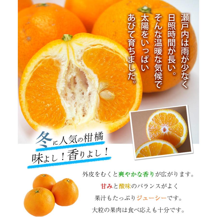 愛媛県産いよかん伊予柑１０ｋｇ・自然農法！栽培期間中農薬・化学肥料不使用【送料無料】 |  | 03