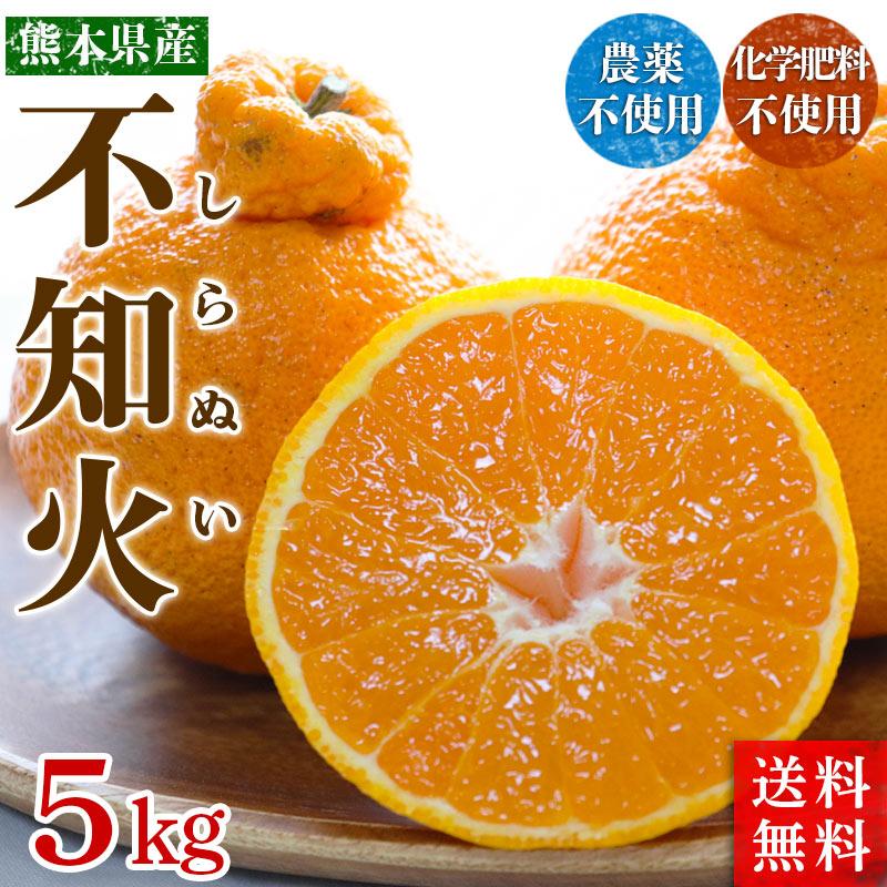 熊本県産　不知火しらぬい（秀品）５ｋｇ【送料無料】農薬不使用・化学肥料不使用・しらぬひ | 
