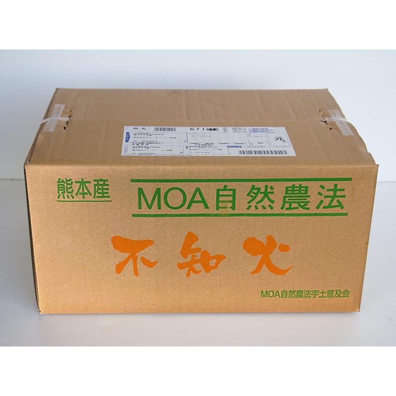 熊本県産　不知火しらぬい（秀品）５ｋｇ【送料無料】農薬不使用・化学肥料不使用・しらぬひ |  | 07