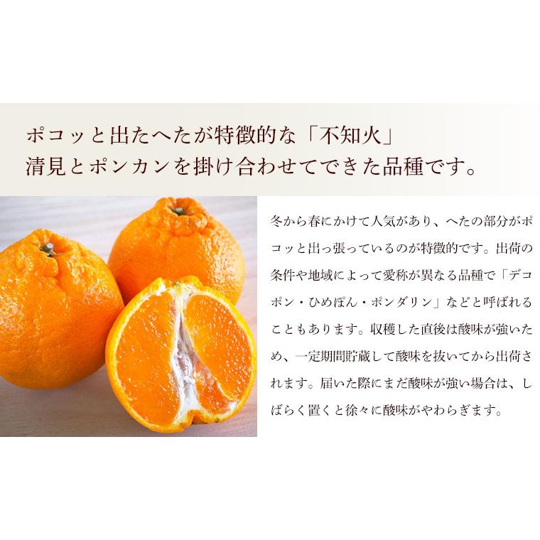熊本県産　不知火しらぬい（秀品）５ｋｇ【送料無料】農薬不使用・化学肥料不使用・しらぬひ |  | 01