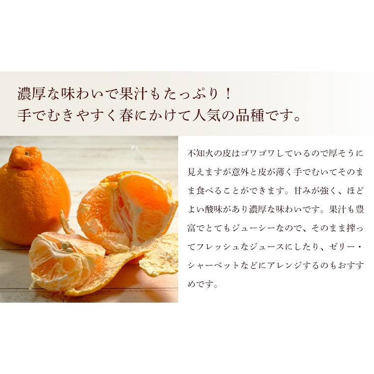 熊本県産　不知火しらぬい（秀品）５ｋｇ【送料無料】農薬不使用・化学肥料不使用・しらぬひ |  | 03