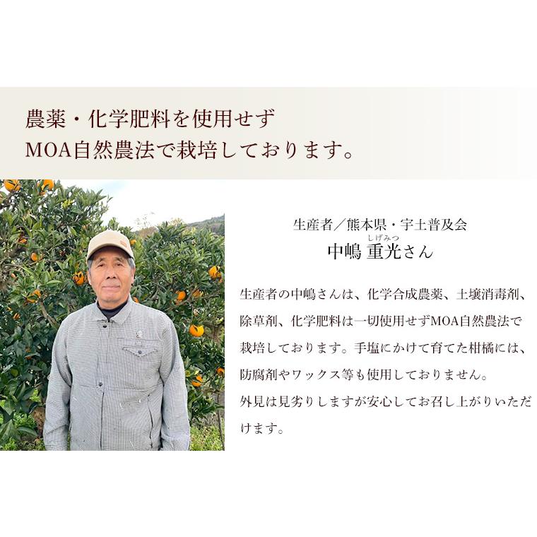 熊本県産　不知火しらぬい（秀品）５ｋｇ【送料無料】農薬不使用・化学肥料不使用・しらぬひ |  | 02