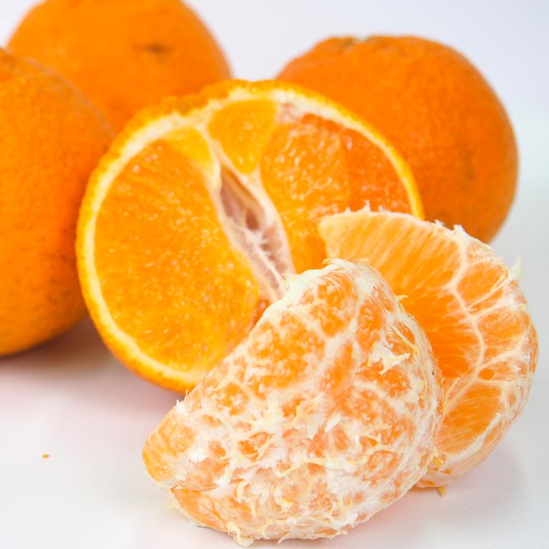 熊本県産　不知火しらぬい（秀品）５ｋｇ【送料無料】農薬不使用・化学肥料不使用・しらぬひ |  | 05