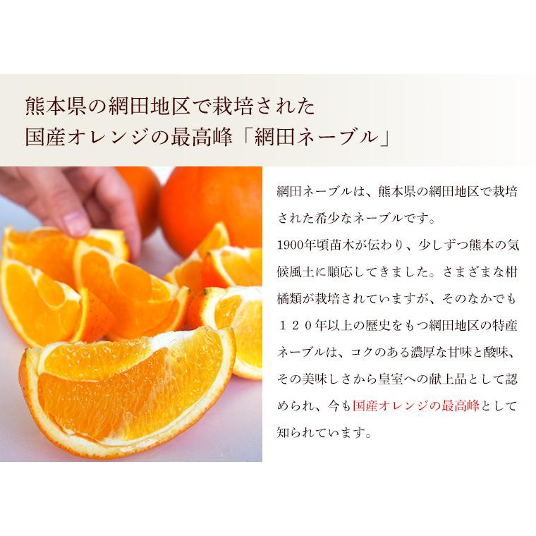 熊本県産・国産ネーブルオレンジ（秀品・Ｍ〜２Ｌサイズ混合）５ｋｇ【送料無料】網田ネーブル |  | 03