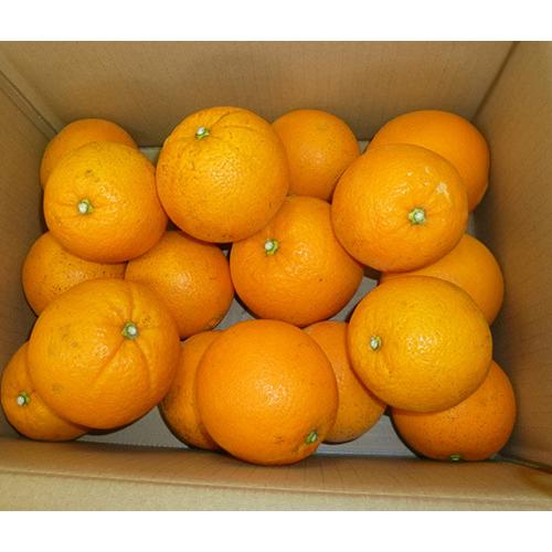 熊本県産・国産ネーブルオレンジ（秀品・Ｍ〜２Ｌサイズ混合）５ｋｇ【送料無料】網田ネーブル |  | 06