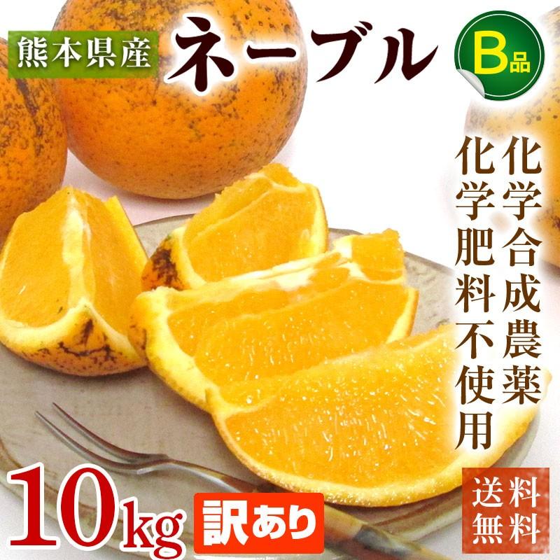 熊本県産・国産ネーブルオレンジ（訳あり品・規格外・Ｂ品・サイズ混合）１０ｋｇ【送料無料】網田ネーブル | 