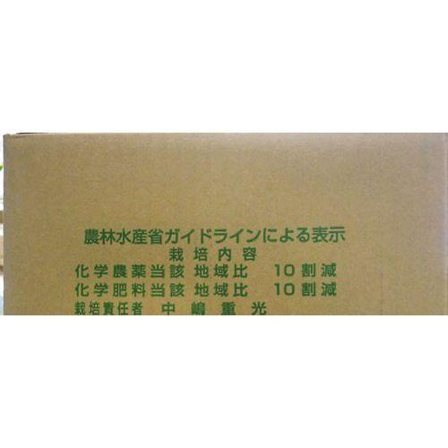 熊本県産・国産ネーブルオレンジ（訳あり品・規格外・Ｂ品・サイズ混合）１０ｋｇ【送料無料】網田ネーブル |  | 09