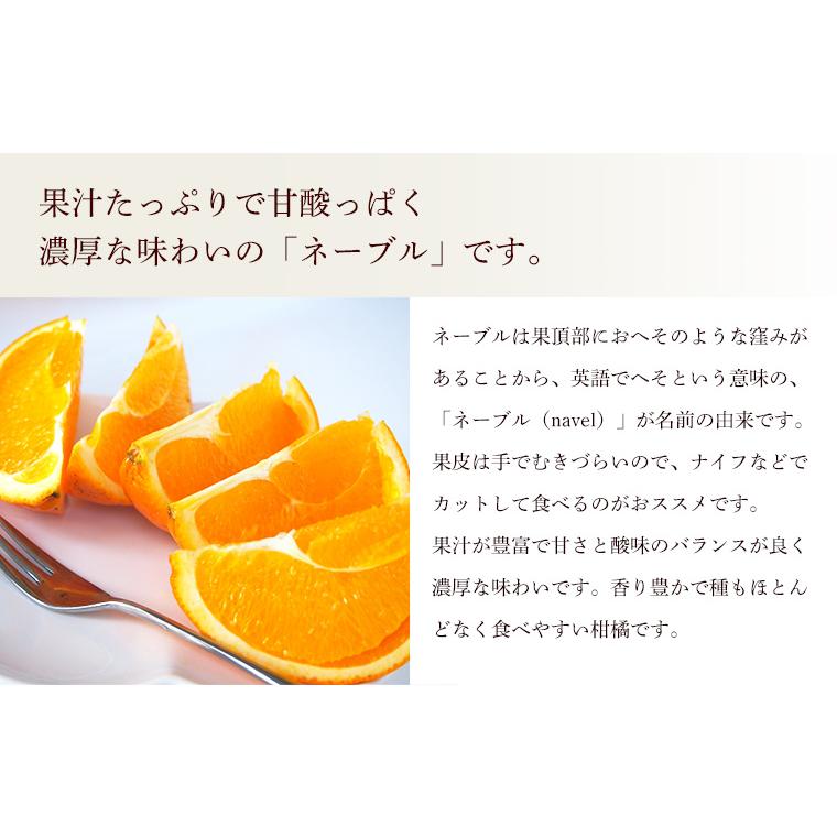 熊本県産・国産ネーブルオレンジ（訳あり品・規格外・Ｂ品・サイズ混合）１０ｋｇ【送料無料】網田ネーブル |  | 04
