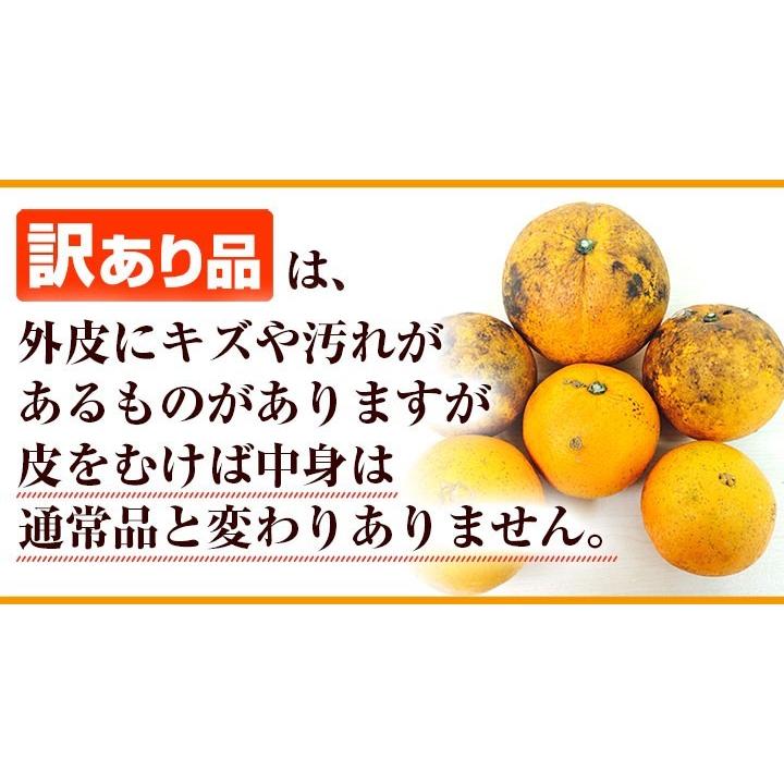 熊本県産・国産ネーブルオレンジ（訳あり品・規格外・Ｂ品・サイズ混合）１０ｋｇ【送料無料】網田ネーブル |  | 05