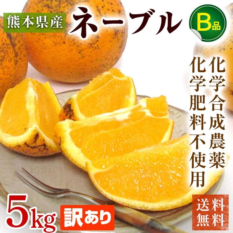 熊本県産・国産ネーブルオレンジ（訳あり品・規格外・Ｂ品・サイズ混合）５ｋｇ【送料無料】網田ネーブル | 